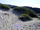 Strand an der Barentssee