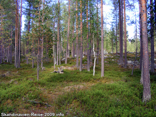 Eingang zum deutschen Soldatenfriedhof bei Rovaniemi