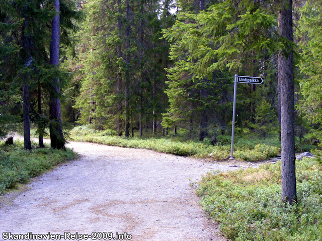 Waldweg bei Rovaniemi