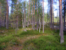 Eingang zum deutschen Soldatenfriedhof bei Rovaniemi