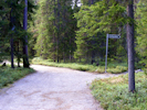 Waldweg bei Rovaniemi