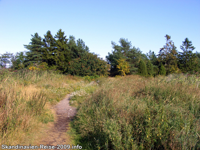 Weg zur Ostsee