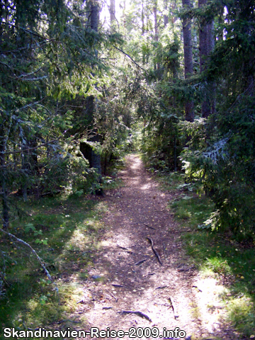 Waldweg bei Älmsta