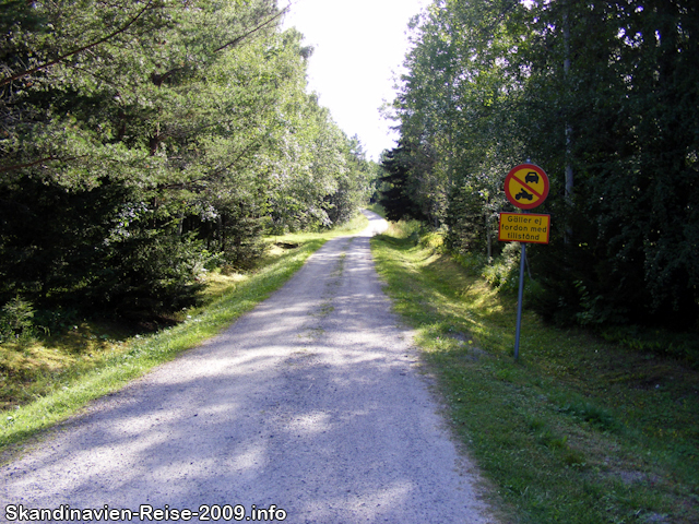 Waldweg bei Älmsta