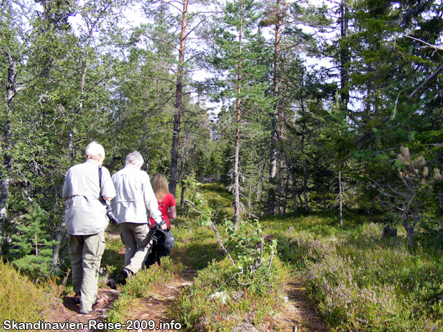 Auf dem weg zur Bärenhöhle