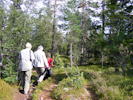 Auf dem weg zur Bärenhöhle