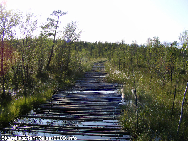 Mooriger weg zur Treriksrøysa