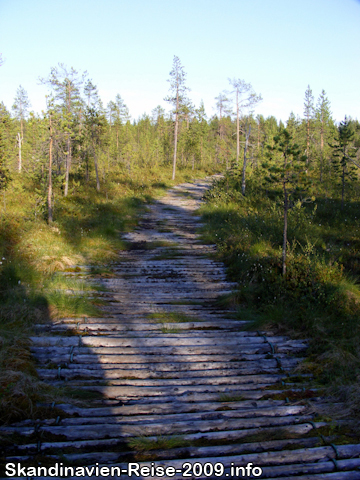 Weg zur Treriksrøysa