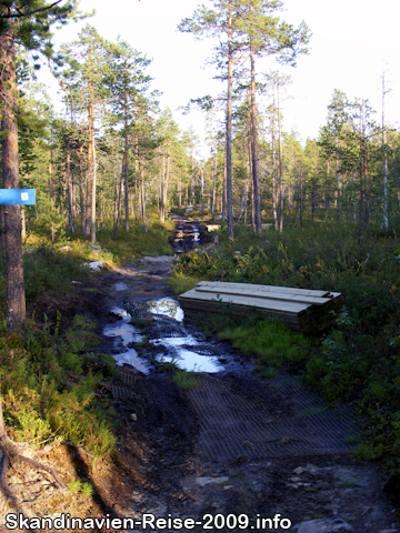 Weg zur Treriksrøysa