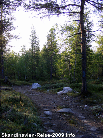 Weg zur Treriksrøysa