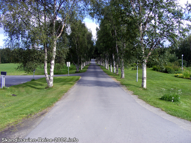 Straße zum Svanhovd Bioforsk Hotel