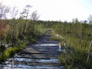 Wanderweg zur Treriksrøysa